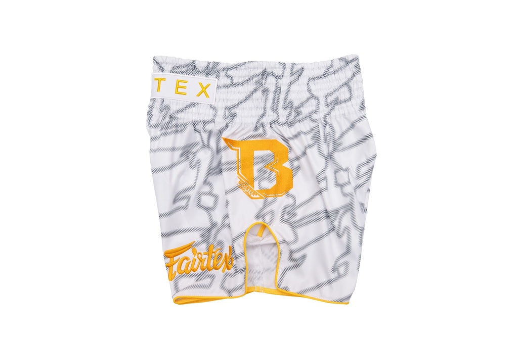 https://www.booster.be/pub/media/catalog/product/f/a/fairtex-booster-bs-12.jpg