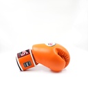 https://www.booster.be/pub/media/catalog/product/b/g/bgvl3-ap-2.jpg