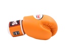 https://www.booster.be/pub/media/catalog/product/b/g/bgvl3-ap-3.jpg