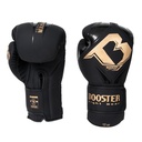 https://www.booster.be/pub/media/catalog/product/2/1/21_2_2.jpg