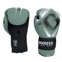 https://www.booster.be/pub/media/catalog/product/2/5/25_8.jpg