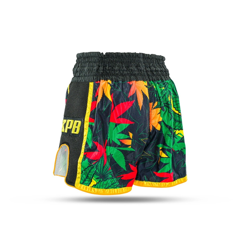 https://www.booster.be/pub/media/catalog/product/b/o/booster-80_1.jpg