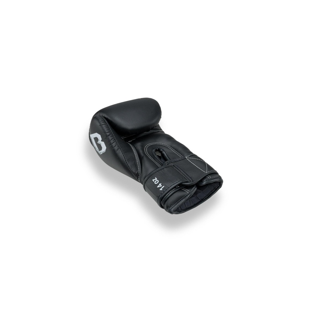 https://www.booster.be/pub/media/catalog/product/s/x/sxs-6620.jpg