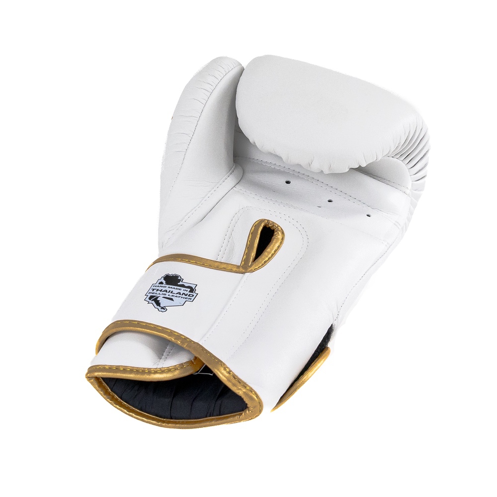 PRO BGL VX 4