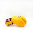 https://www.booster.be/pub/media/catalog/product/b/g/bgvl3-ap-2.jpg