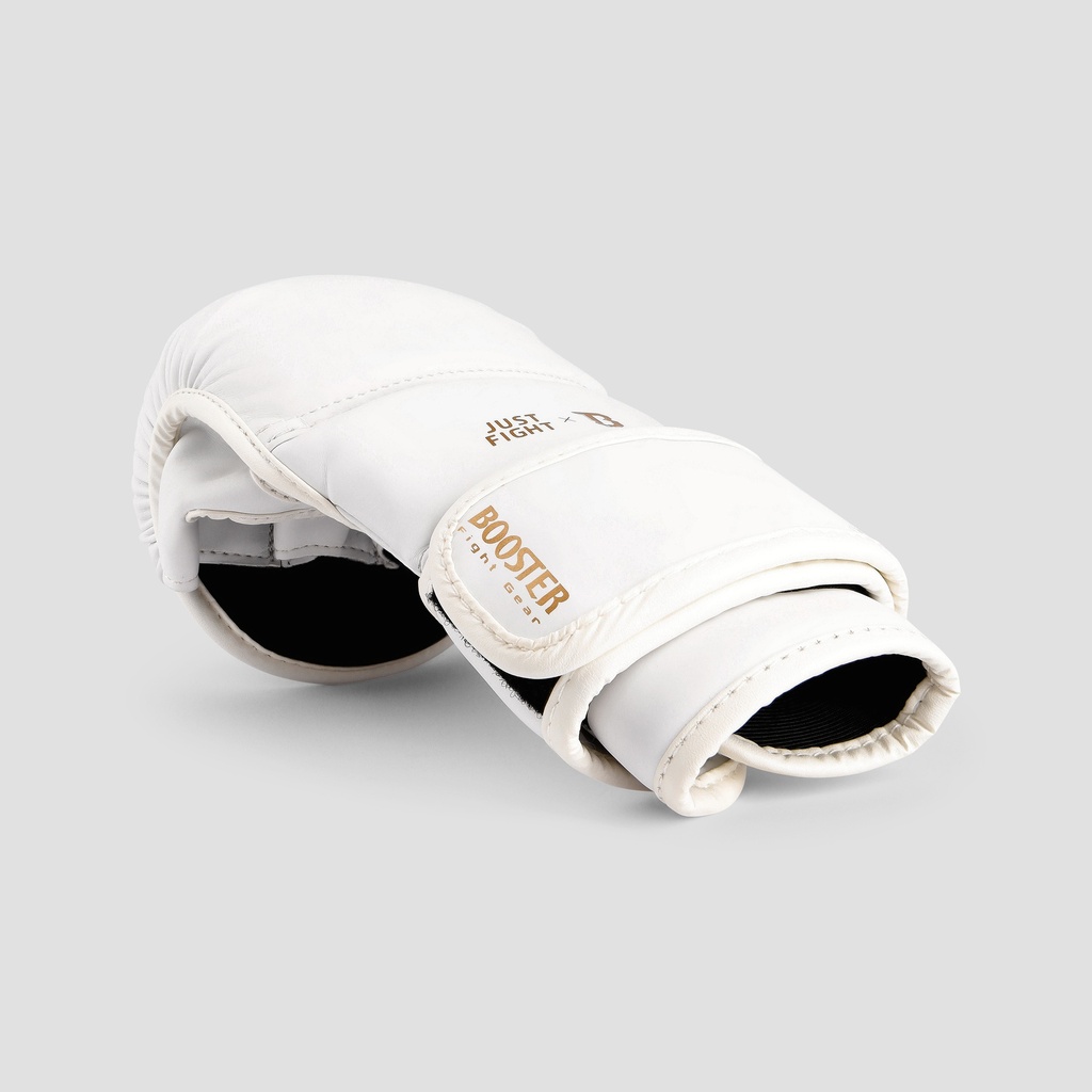 BFG MMA JUST FIGHT 2