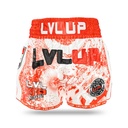 LVL UP STADIUM 2