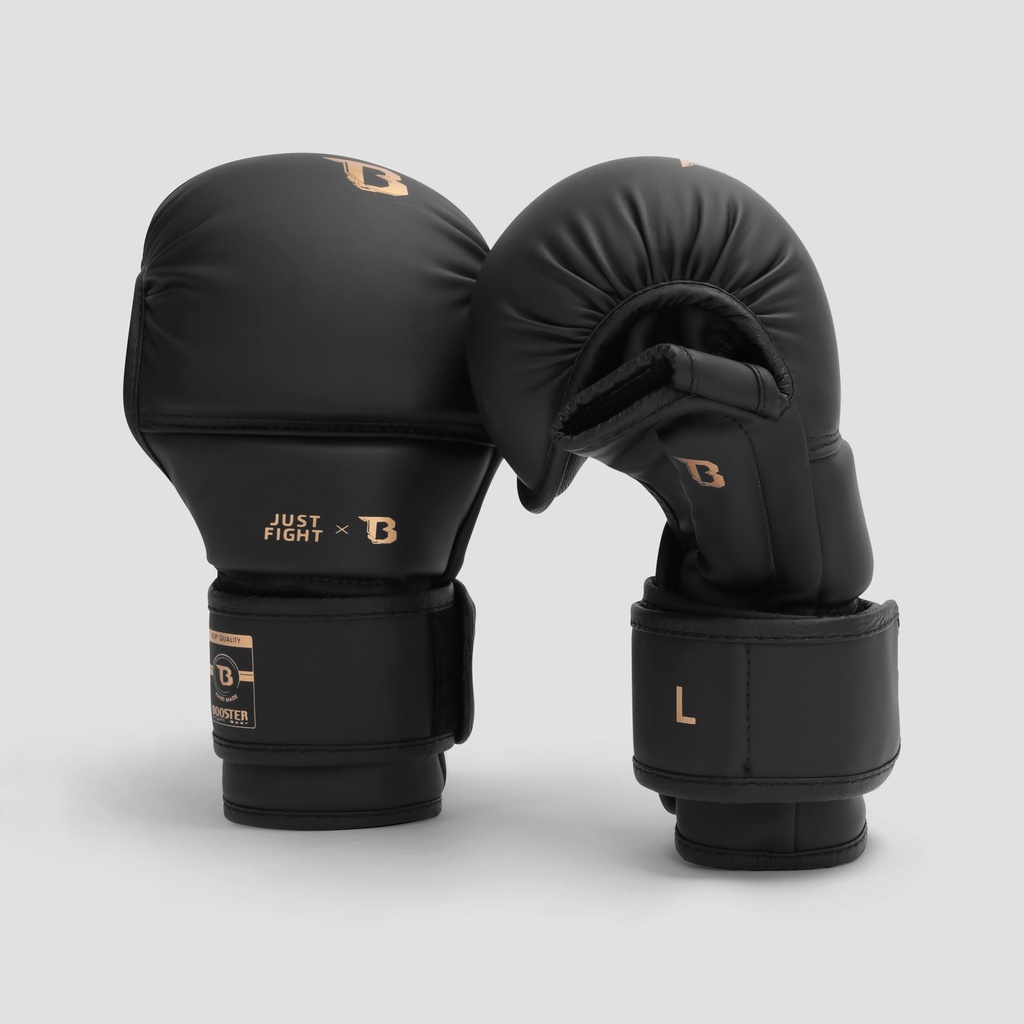BFG MMA JUST FIGHT 1 