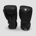 PRO BGL VX 1