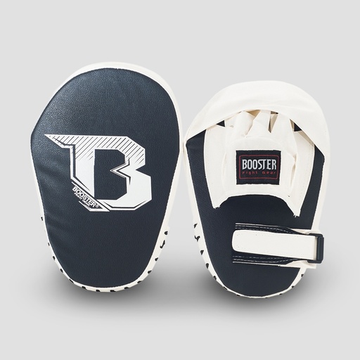 [PML B] PML B