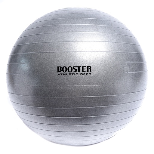 [YOGA BALL] YOGA BALL