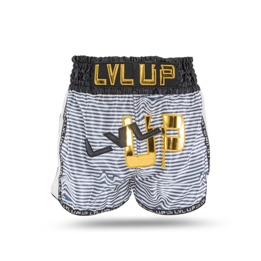 [LVL UP FLASH 1] LVL UP FLASH 1