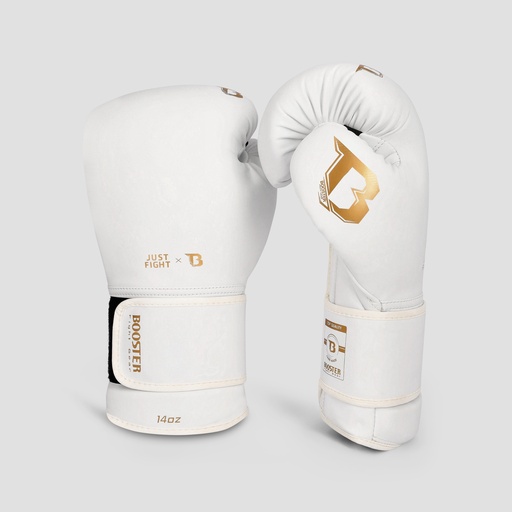 BFG BG JUST FIGHT 2
