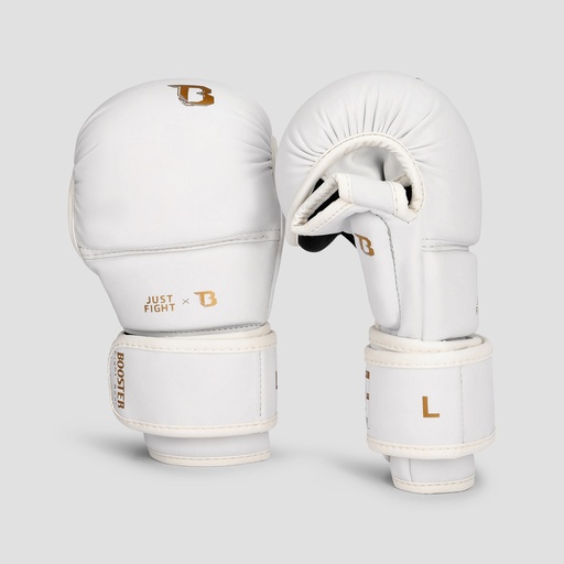 BFG MMA JUST FIGHT 2